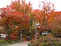 老舗の温泉旅館「草津ホテル