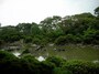 御花の庭園