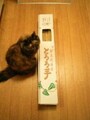 福島県白沢の自然薯
