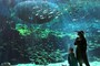 九十九島水族館 海きらら　