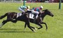 2013derby