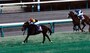 2006arima