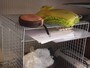 バーベキュー網の書類棚