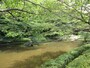 千葉市の「花島公園」