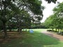 千葉市の「花島公園」