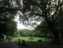 千葉市の「花島公園」