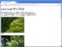 画面外の画像はクリックされるまで表示されないサンプルページ