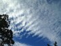 空
