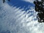 空