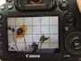 デジカメでフォーカス