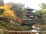 銀閣寺の紅葉