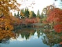 永観堂の紅葉