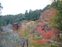 長谷寺の紅葉