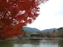 浮御堂の紅葉