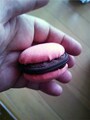 手作りマカロンケース