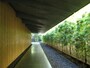 表参道「根津美術館」