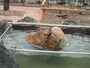 「埼玉県こども動物園自然公園」