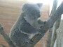 「埼玉県こども動物園自然公園」