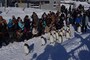 「旭山動物園」　