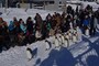 「旭山動物園」　