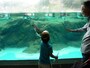 「よこはま動物園ズーラシア」