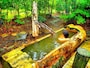 北海道「銀婚湯」