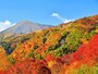 山の中を通る道路