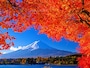 富士山と紅葉