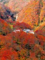 紅葉の燕温泉