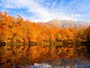 苅込池の紅葉