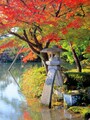 紅葉の兼六園