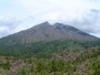 有村溶岩展望所から眺める溶岩台地と桜島