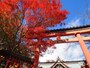 薬王院から山頂をめざす石段を登ったところの紅葉