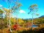 紅葉の志賀高原一沼