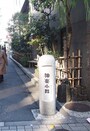 飲食店などが立ち並ぶ小路だ