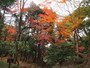 想像以上の素晴らしいさだった