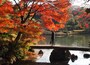 こちらも水に映る紅葉が美しい