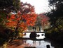 紅葉が実に美しい
