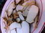 matsutake