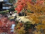 紅葉の季節の円覚寺境内