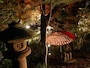長谷寺の紅葉ライトアップ
