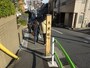 前を行く人々も七福神めぐりの人たちだ。