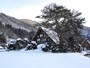 現在も住居としても使用されている