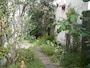 園路を彩る多種多様の植栽