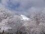 御在所岳の樹氷（1）