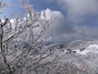 御在所岳の樹氷（3）