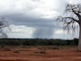 rain