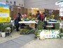キッズのお花屋さん体験コーナー