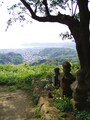 衣張山山頂から望む景色