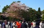 通り抜けは一方通行